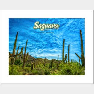 Saguaro National Park Posters and Art